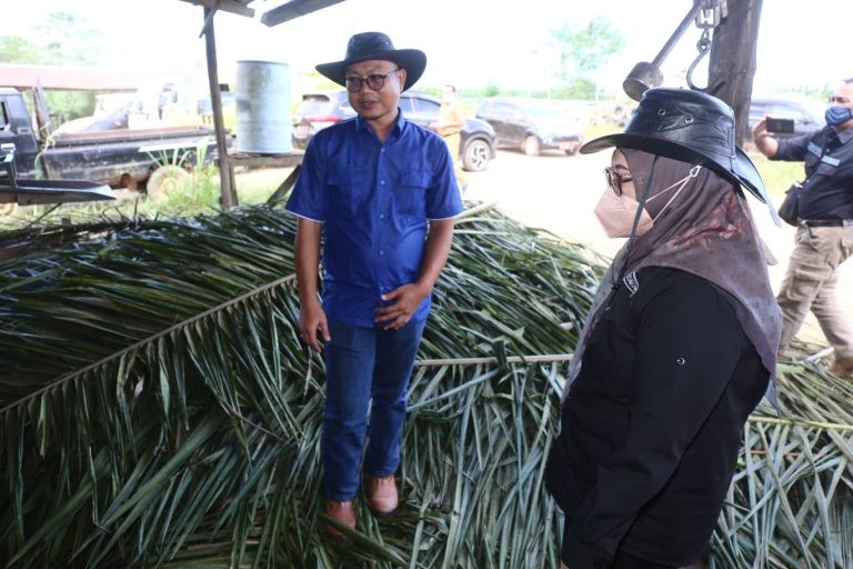 Penyangga Pangan IKN, Pemprov Andalkan Empat Program Prioritas ...